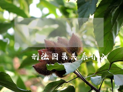 刑法因果关系介入 刑法因果关系介入