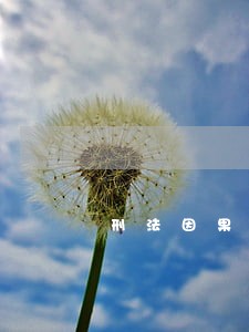 刑法因果关系的判断步骤