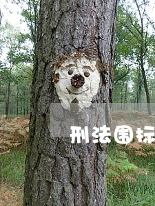刑法围标串标罪认定 刑法围标串标罪认定