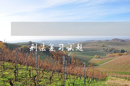 刑法复习试题 刑法复习试题