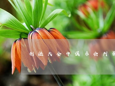 刑法大全中误杀会判死刑吗 刑法大全中误杀会判死刑吗