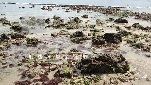 刑法学中的犯罪