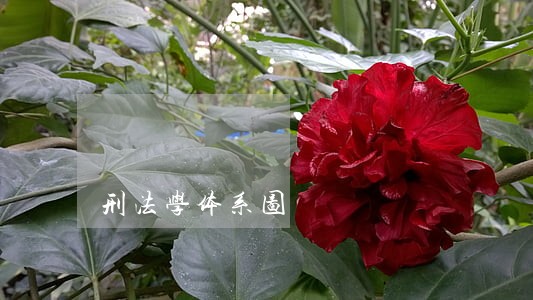 刑法学体系图 刑法学体系图