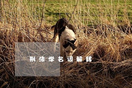 刑法学名词解释 刑法学名词解释