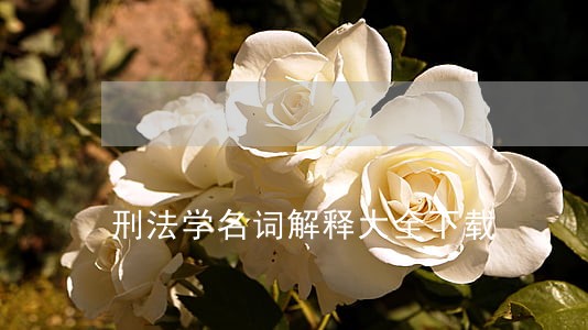 刑法学名词解释大全下载 刑法学名词解释大全下载