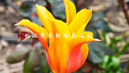刑法学最新版第几版 刑法学最新版第几版
