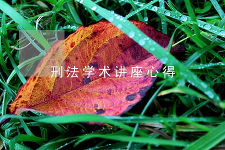 刑法学术讲座心得 刑法学术讲座心得