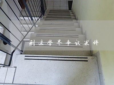 刑法学界争议案件 刑法学界争议案件