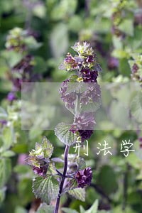 刑法学第六版 刑法学第六版