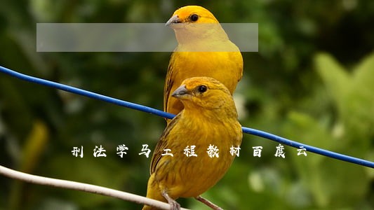 刑法学马工程教材百度云 刑法学马工程教材百度云