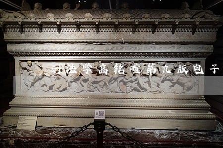 刑法学高铭暄第九版电子版 刑法学高铭暄第九版电子版