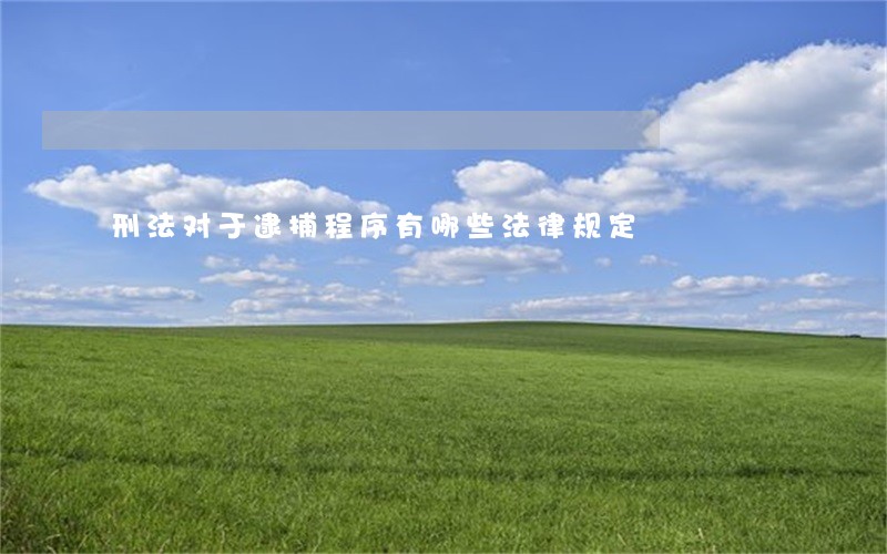 刑法对于逮捕程序有哪些法律规定