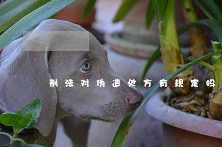 刑法对伪造处方有规定吗 刑法对伪造处方有规定吗