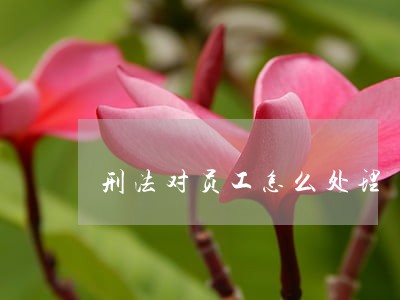 刑法对员工怎么处理 刑法对员工怎么处理