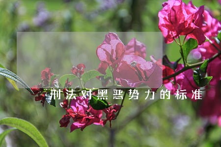 刑法对黑恶势力的标准