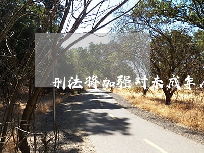 刑法将加强对未成年人的保护 刑法将加强对未成年人的保护
