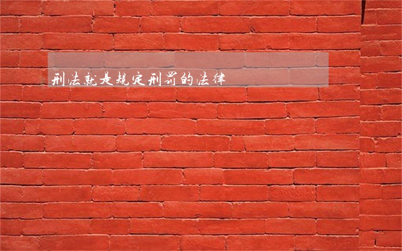 刑法就是规定刑罚的法律 刑法就是规定刑罚的法律