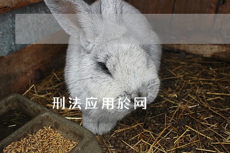 刑法应用於网 刑法应用於网