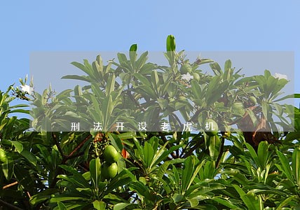 刑法开设老虎机 刑法开设老虎机