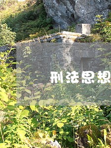刑法思想犯 刑法思想犯