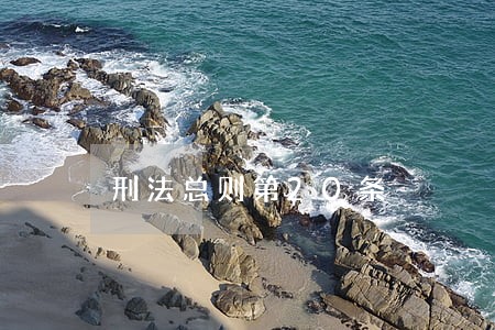 刑法总则第20条