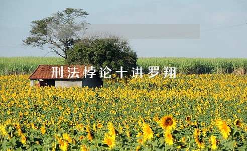 刑法悖论十讲罗翔 刑法悖论十讲罗翔