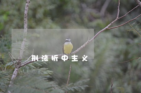刑法折中主义