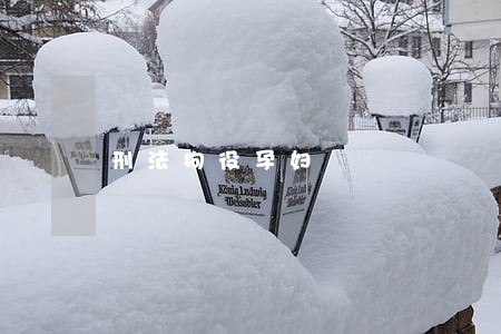 刑法拘役孕妇 刑法拘役孕妇