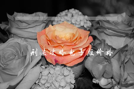 刑法攻略电子版价格 刑法攻略电子版价格