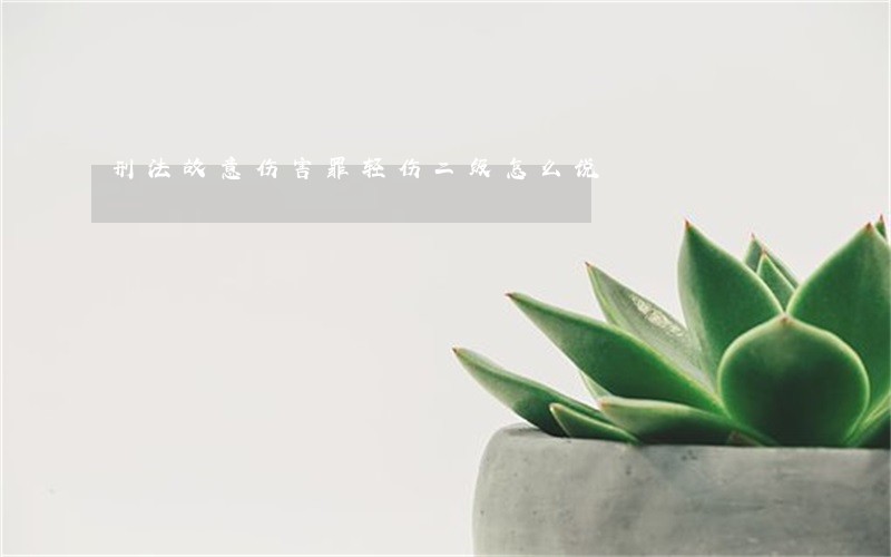 刑法故意伤害罪轻伤二级怎么说 刑法故意伤害罪轻伤二级怎么说