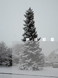 刑法故意欺骗罪 刑法故意欺骗罪