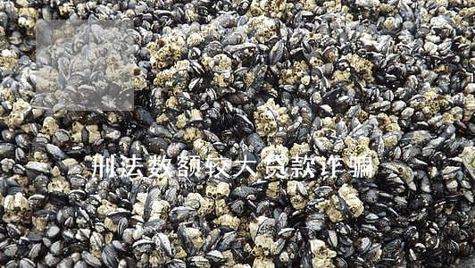 刑法数额较大贷款诈骗 刑法数额较大贷款诈骗