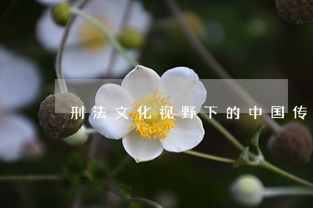 刑法文化视野下的中国传统的法律 刑法文化视野下的中国传统的法律