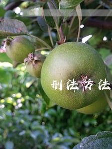 刑法方法错误和打击错误