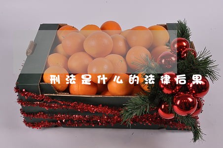 刑法是什么的法律后果 刑法是什么的法律后果