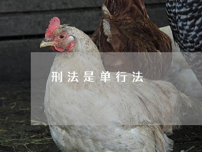 刑法是单行法 刑法是单行法