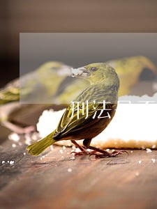 刑法是否试用类比解释