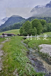 刑法是水果刀