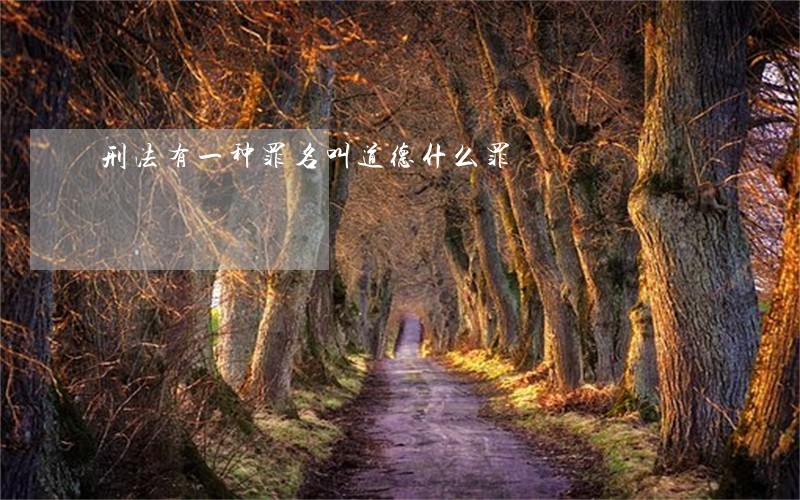 刑法有一种罪名叫道德什么罪 刑法有一种罪名叫道德什么罪