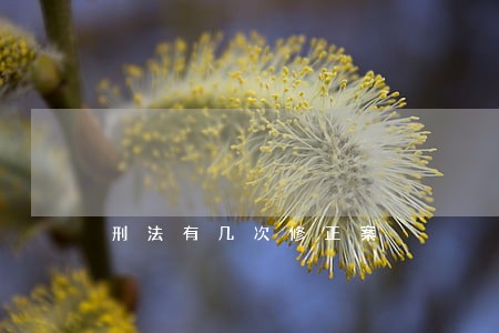 刑法有几次修正案 刑法有几次修正案