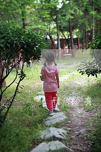 刑法有多少种罪 刑法有多少种罪
