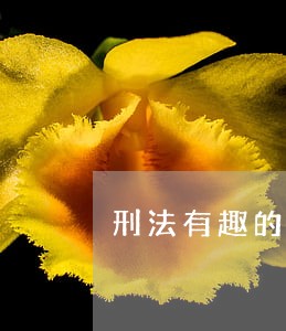 刑法有趣的老师 刑法有趣的老师