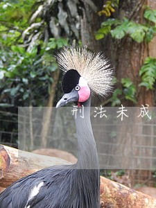 刑法未成年法律援助法条 刑法未成年法律援助法条
