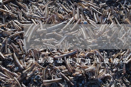 刑法毒品犯罪的法律规定 刑法毒品犯罪的法律规定