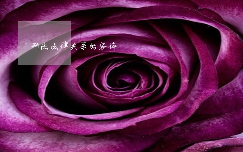 刑法法律关系的客体 刑法法律关系的客体