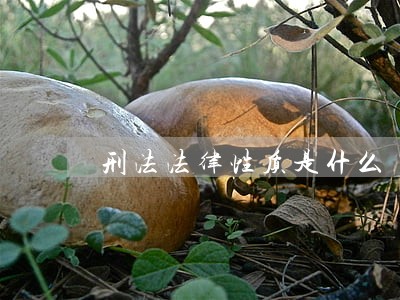 刑法法律性质是什么