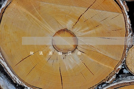 刑法法知识点 刑法法知识点