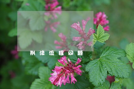 刑法流程问题 刑法流程问题