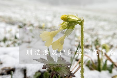 刑法涉及律师犯罪的罪名