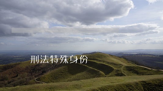 刑法特殊身份 刑法特殊身份